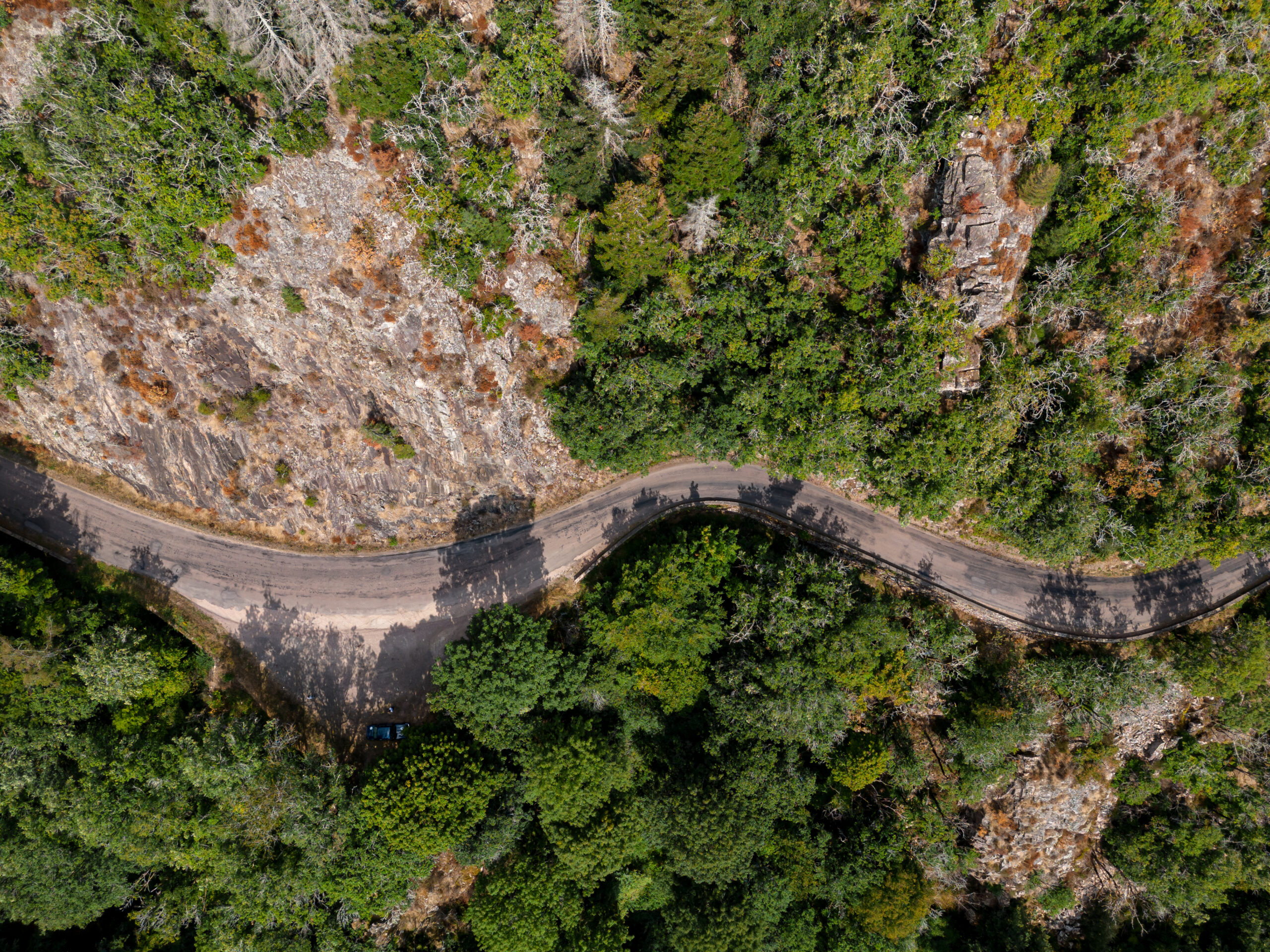 Les Vosges Driving Project