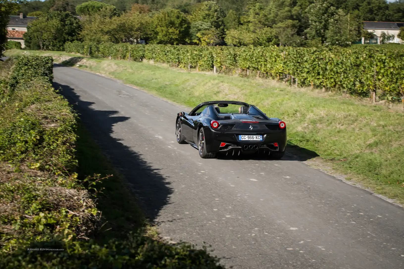 Wines Rally 2024