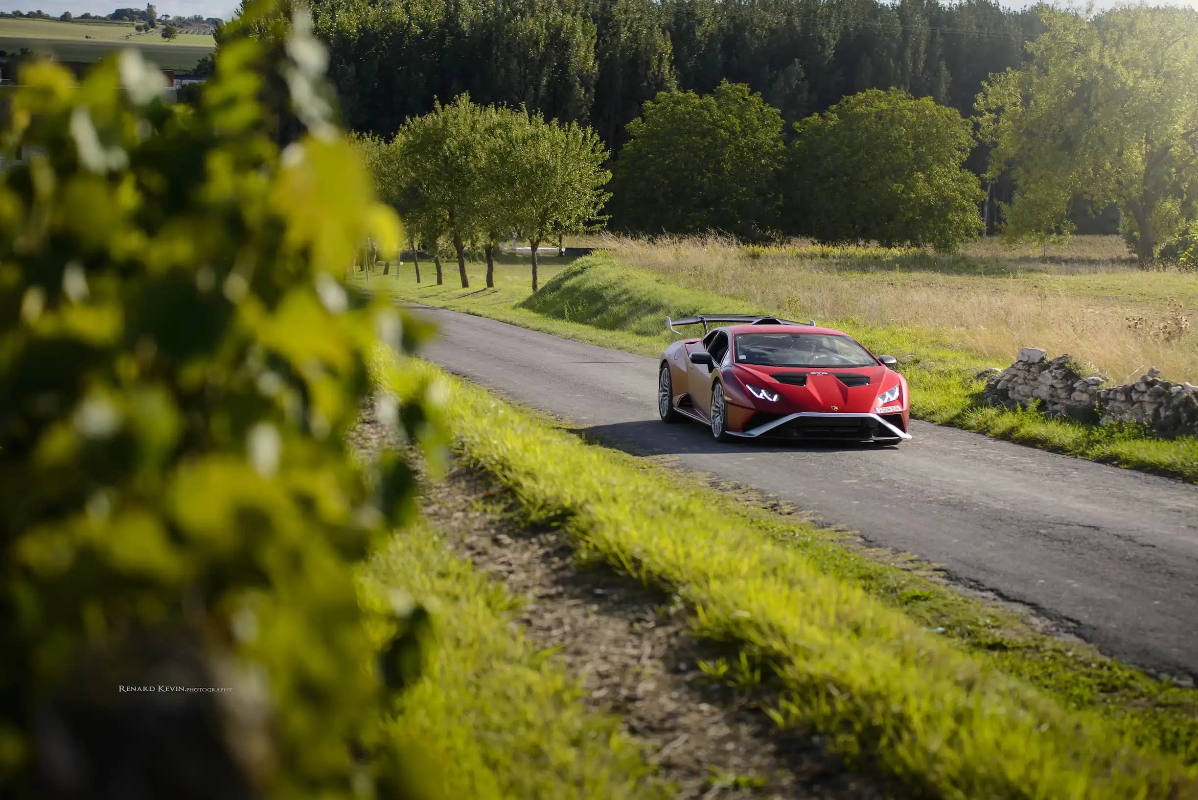 Wines Rally 2024