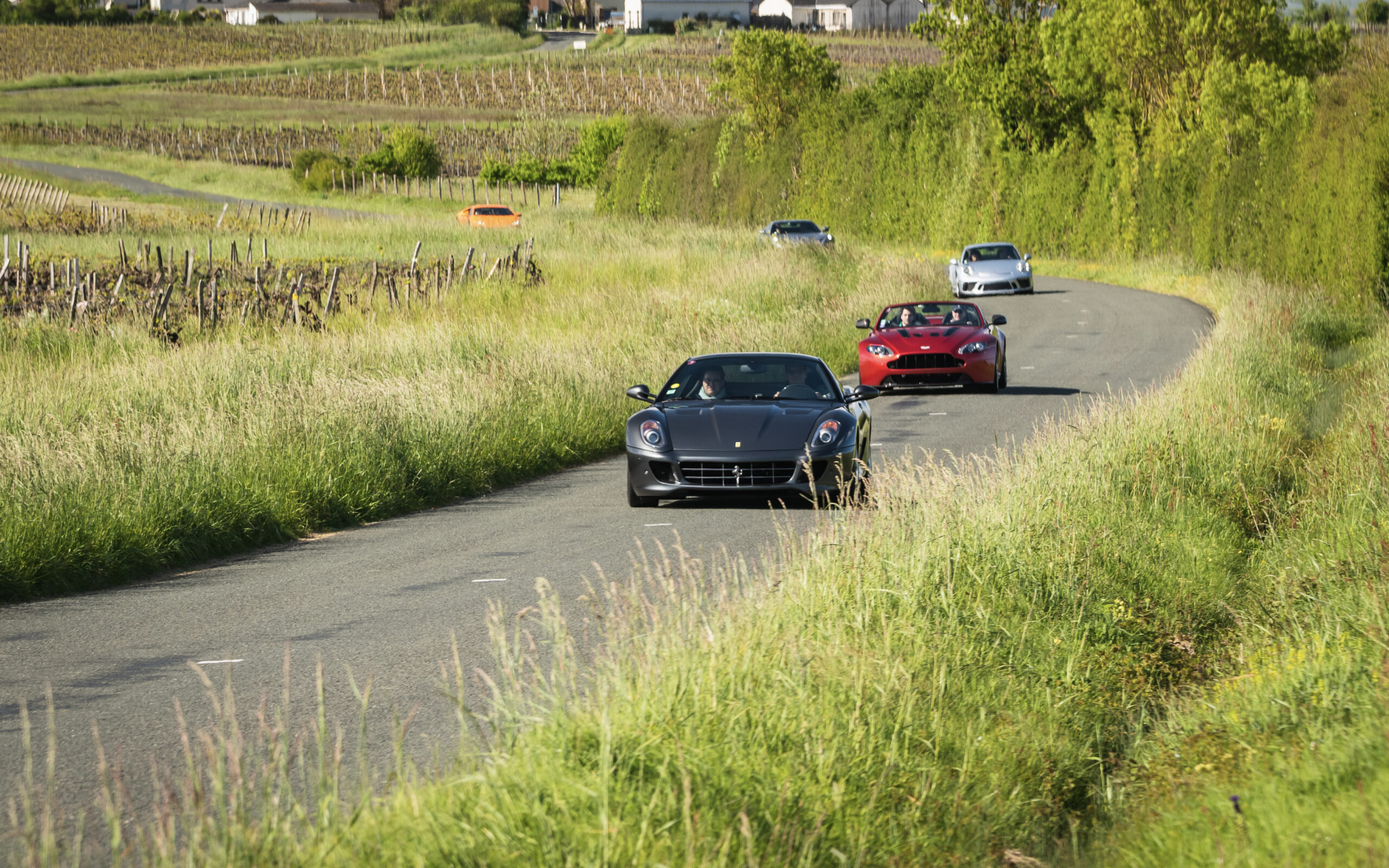 Wines Rally 2025