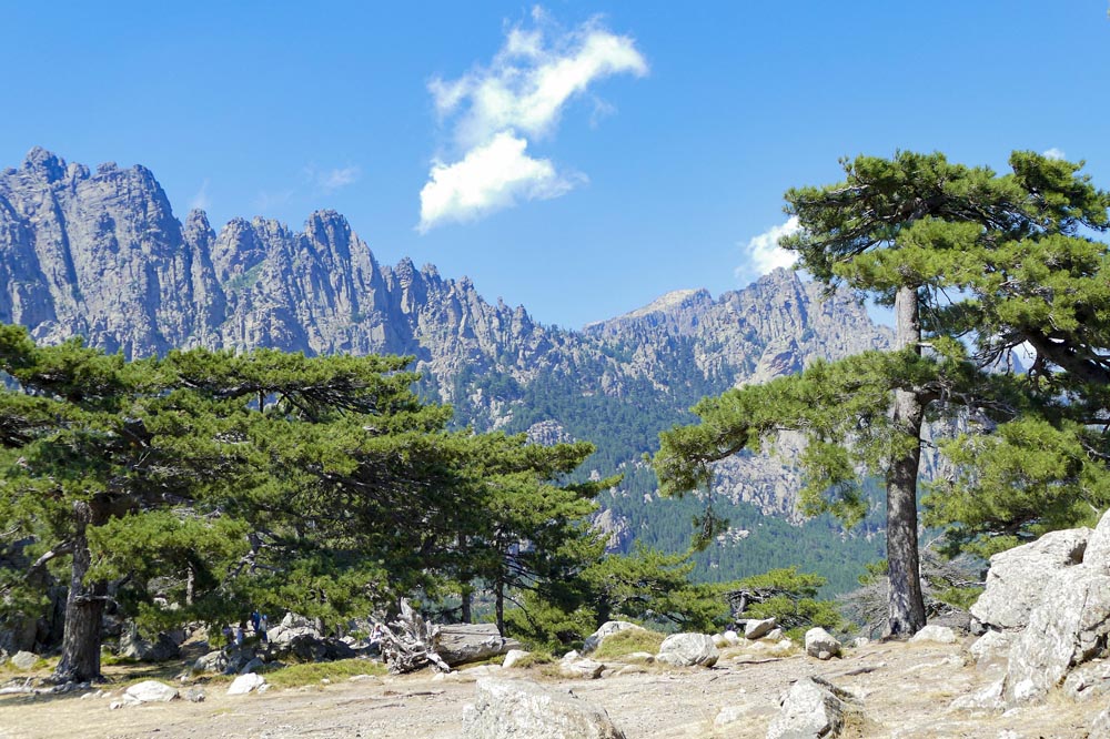 Rallye touristique Corse