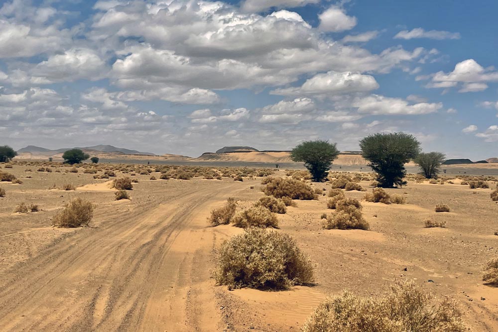 Rallye off-road Maroc – SSV CanAm