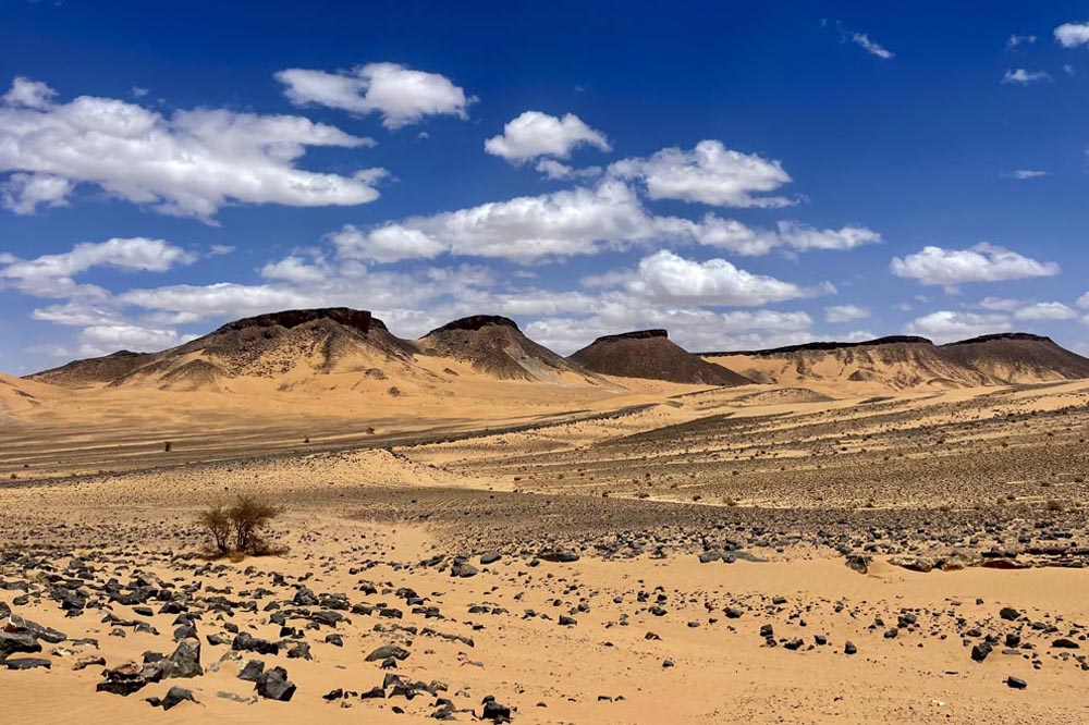 Rallye off-road Maroc – SSV CanAm